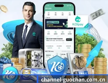 国产成人大全 APP 深度功能