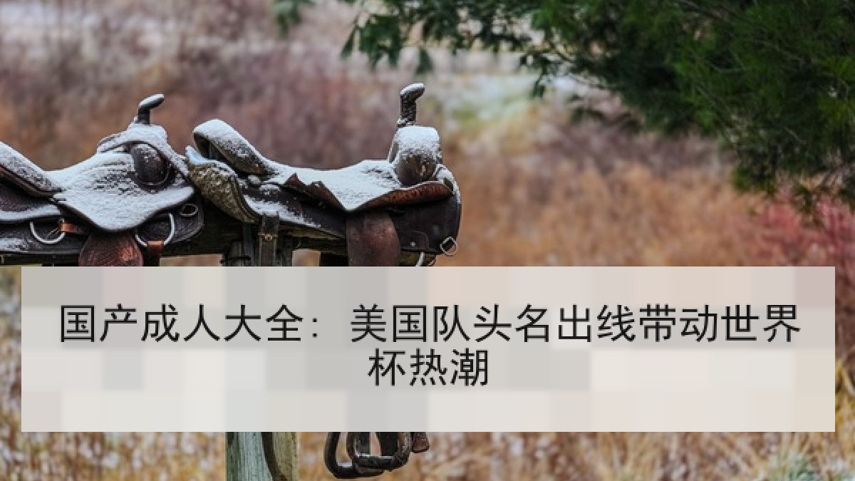 国产成人大全: 美国队头名出线带动世界杯热潮