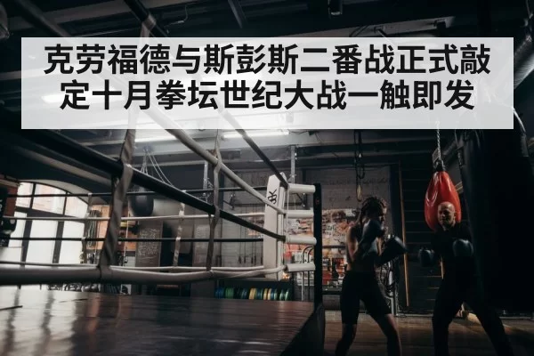 boxer training